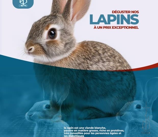 AT THE SERVANTS OF MARY SISTERS OF DOUALA – ORGANIC RABBIT MEAT