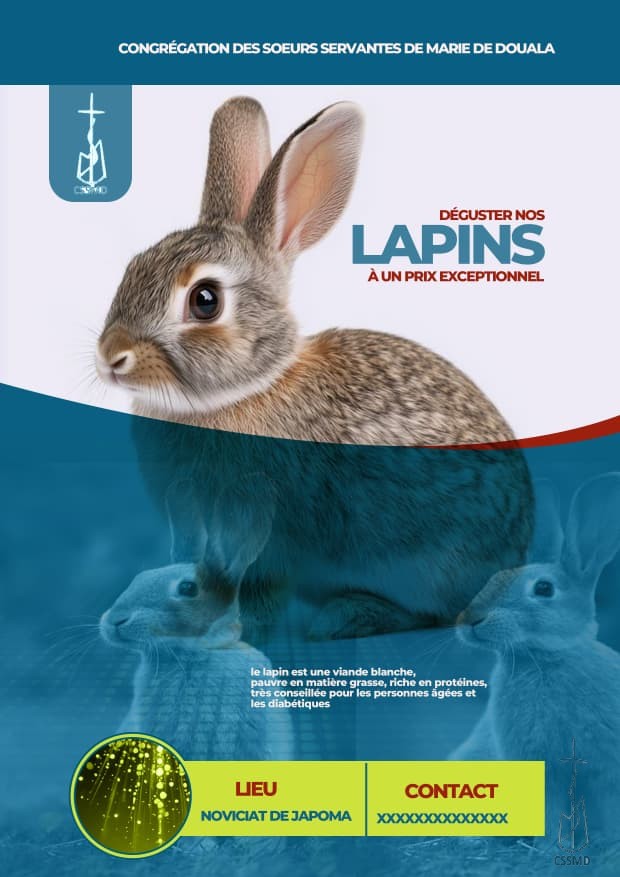 CHEZ LES SOEURS SERVANTES DE MARIE DE DOUALA – LA VIANDE DU LAPIN BIO